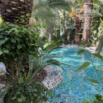 фото из отзыва ID 2307317