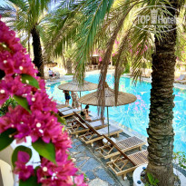 фото из отзыва ID 2307317