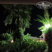 фото из отзыва ID 2307329