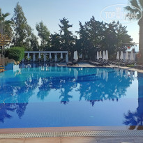 фото из отзыва ID 2306853