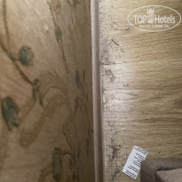 фото из отзыва ID 2307342