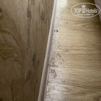 фото из отзыва ID 2307342