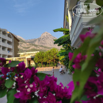 фото из отзыва ID 2307360