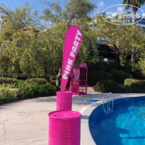 фото из отзыва ID 2307372