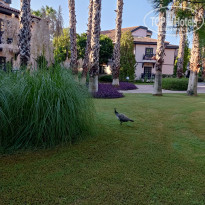 фото из отзыва ID 2307372