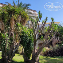 фото из отзыва ID 2307372