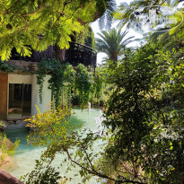 фото из отзыва ID 2307372