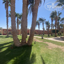 фото из отзыва ID 2307466