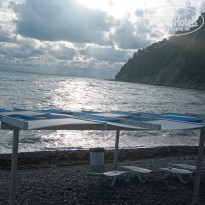 фото из отзыва ID 2307567