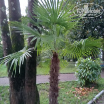 фото из отзыва ID 2307600