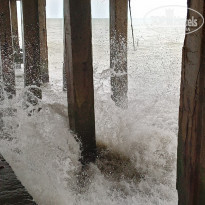 фото из отзыва ID 2307600