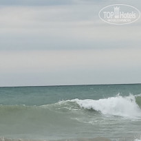 фото из отзыва ID 2307600