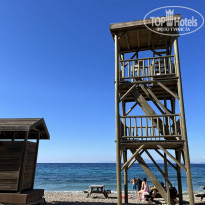 фото из отзыва ID 2307702