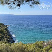 фото из отзыва ID 2307702