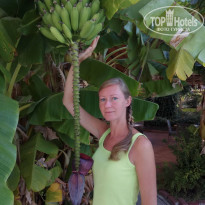 фото из отзыва ID 2307784