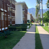 фото из отзыва ID 2307810