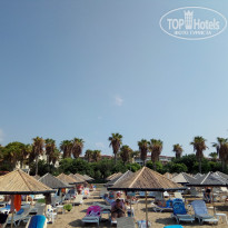 фото из отзыва ID 2307825