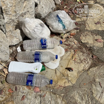 фото из отзыва ID 2307871