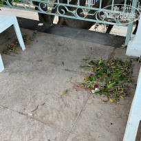 фото из отзыва ID 2307871