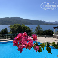 фото из отзыва ID 2307871