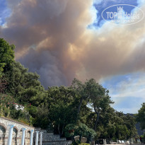 фото из отзыва ID 2307871