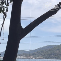 фото из отзыва ID 2307871