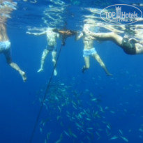 фото из отзыва ID 2308004