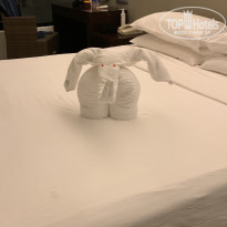 фото из отзыва ID 2308013