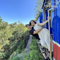 фото из отзыва ID 2308013