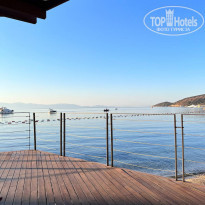 фото из отзыва ID 2308152