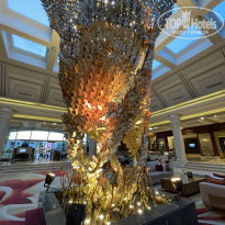 фото из отзыва ID 2308156