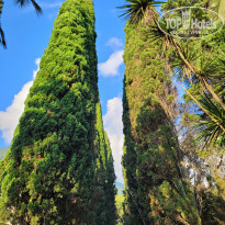 фото из отзыва ID 2308382