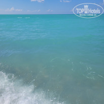 фото из отзыва ID 2308382