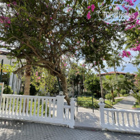 фото из отзыва ID 2308433