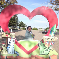 фото из отзыва ID 2308449