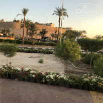 фото из отзыва ID 2308558