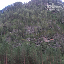 фото из отзыва ID 2308574