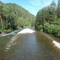 фото из отзыва ID 2308574