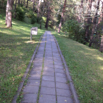 фото из отзыва ID 2308574