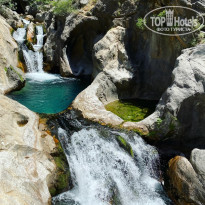 фото из отзыва ID 2308633