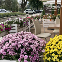 фото из отзыва ID 2308752