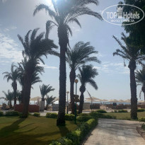 фото из отзыва ID 2308754