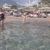 фото из отзыва ID 2308858