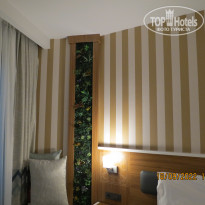 фото из отзыва ID 2308884