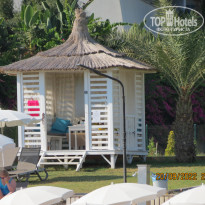 фото из отзыва ID 2308884