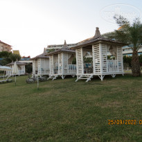 фото из отзыва ID 2308884