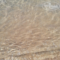 фото из отзыва ID 2308885