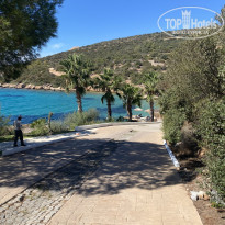 фото из отзыва ID 2308933