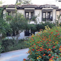 фото из отзыва ID 2308947