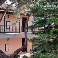 фото из отзыва ID 2308947